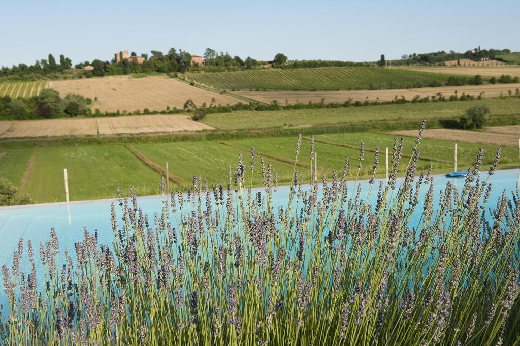 Agriturismo La Corte Dei Sogni Torrita di Siena Bagian luar foto